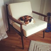 seat cushions restore vintage danish chair